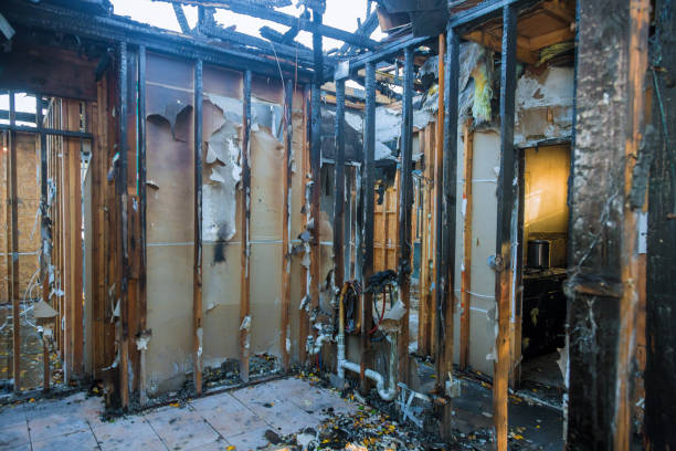 Professional Odor Removal technician working in Farmland, IN